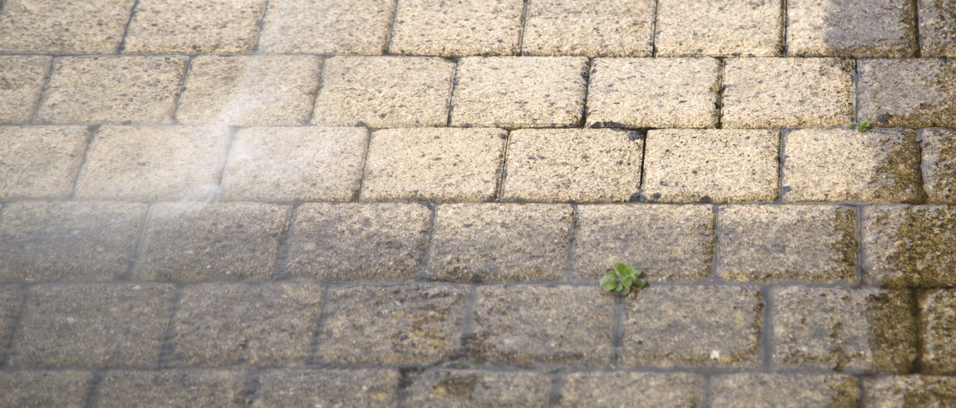 flagging and patios IG5