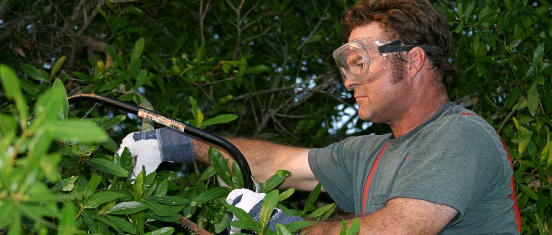 garden clearance IG5